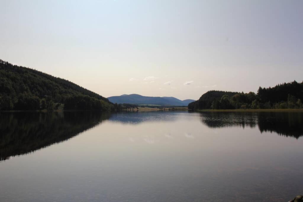 The One - In The Cairngorms Boat of Garten