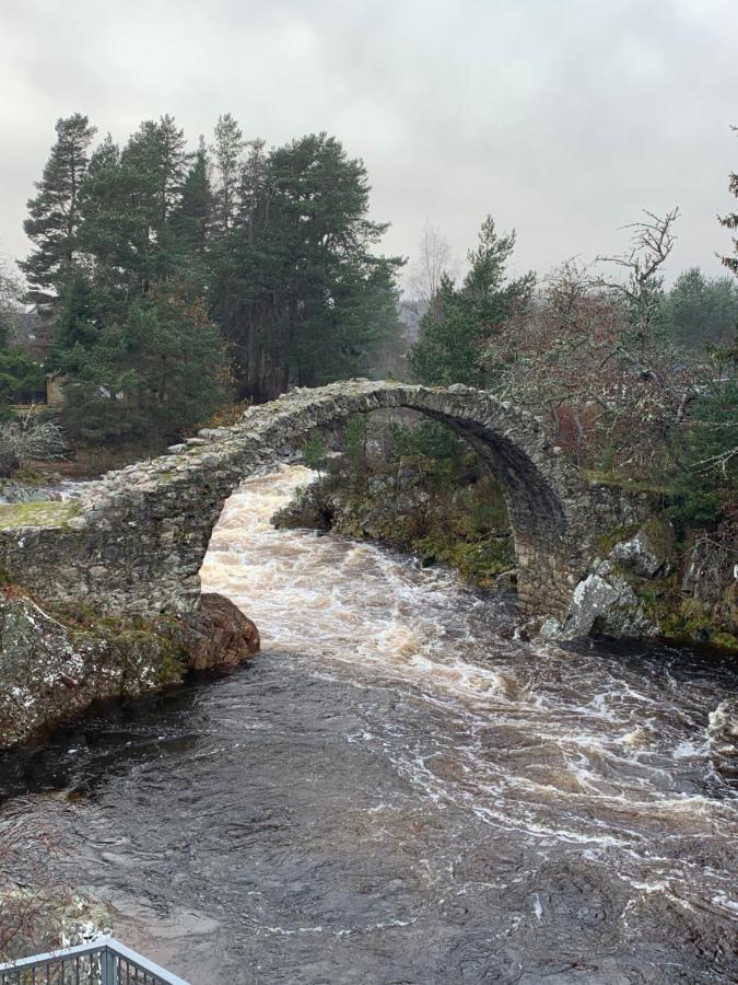 The One - In The Cairngorms * Boat of Garten